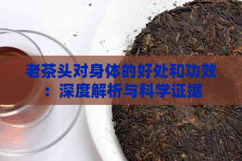 老茶头对身体的好处和功效：深度解析与科学证据