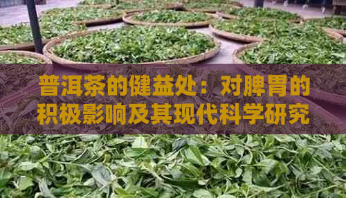 普洱茶的健益处：对脾胃的积极影响及其现代科学研究