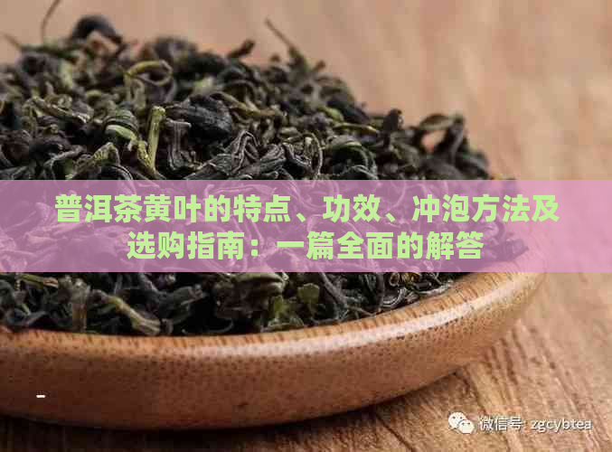 普洱茶黄叶的特点、功效、冲泡方法及选购指南：一篇全面的解答