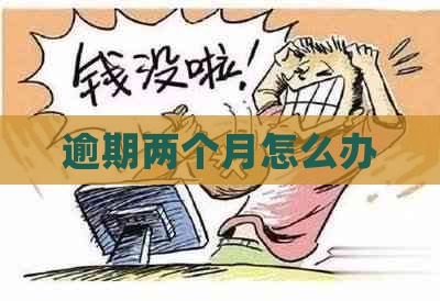 逾期两个月怎么办