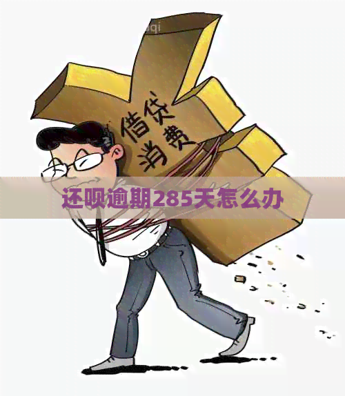 还呗逾期285天怎么办