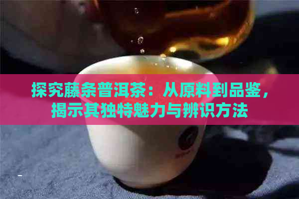 探究藤条普洱茶：从原料到品鉴，揭示其独特魅力与辨识方法