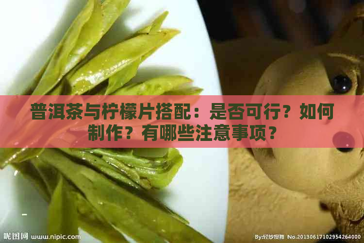 普洱茶与柠檬片搭配：是否可行？如何制作？有哪些注意事项？