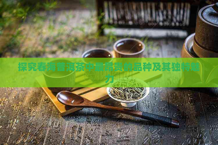 探究春海普洱茶中最昂贵的品种及其独特魅力