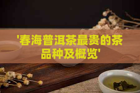 '春海普洱茶最贵的茶品种及概览'