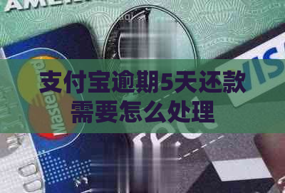 支付宝逾期5天还款需要怎么处理