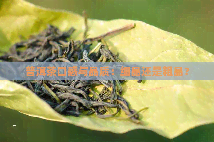 普洱茶口感与品质：细品还是粗品？