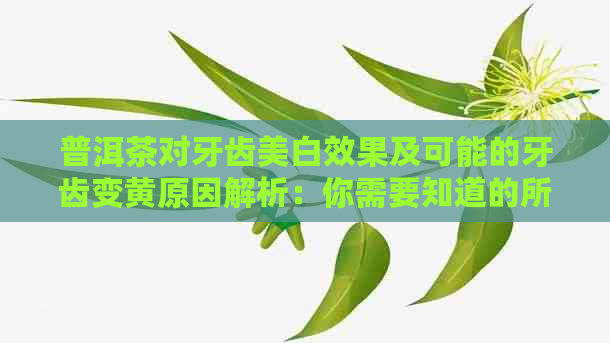 普洱茶对牙齿美白效果及可能的牙齿变黄原因解析：你需要知道的所有信息