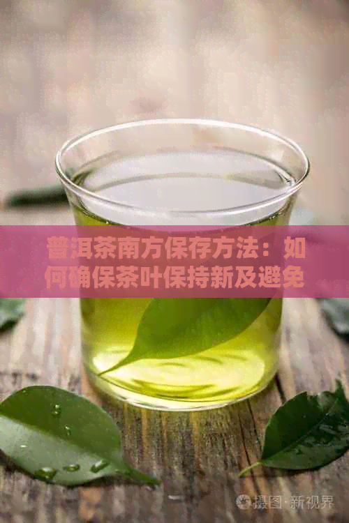 普洱茶南方保存方法：如何确保茶叶保持新及避免变质？