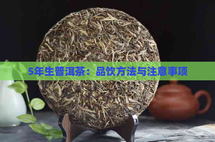 5年生普洱茶：品饮方法与注意事项