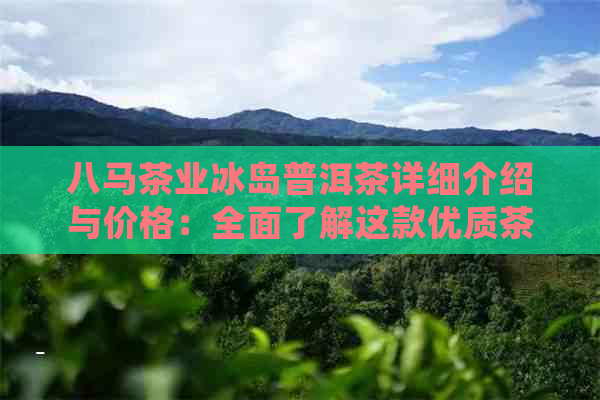 八马茶业冰岛普洱茶详细介绍与价格：全面了解这款优质茶叶的关键信息