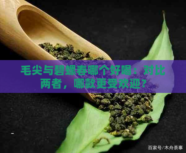 毛尖与碧螺春哪个好喝：对比两者，哪款更受欢迎？