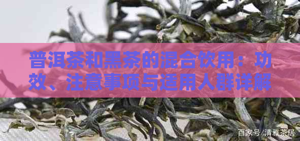 普洱茶和黑茶的混合饮用：功效、注意事项与适用人群详解