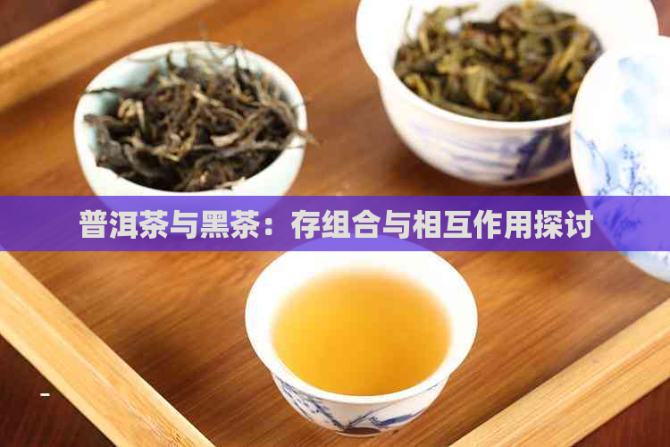 普洱茶与黑茶：存组合与相互作用探讨