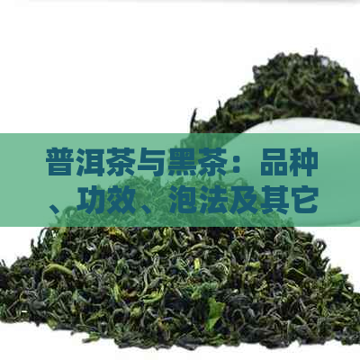 普洱茶与黑茶：品种、功效、泡法及其它你可能想知道的一切