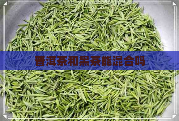 普洱茶和黑茶能混合吗