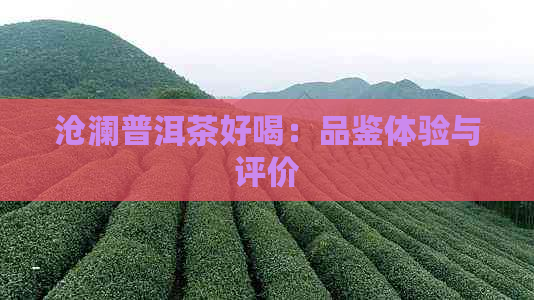 沧澜普洱茶好喝：品鉴体验与评价