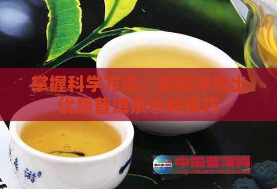 掌握科学方法，轻松冲泡出优质普洱茶水的技巧