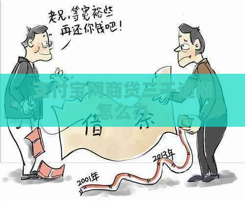 支付宝网商贷三千逾期怎么办