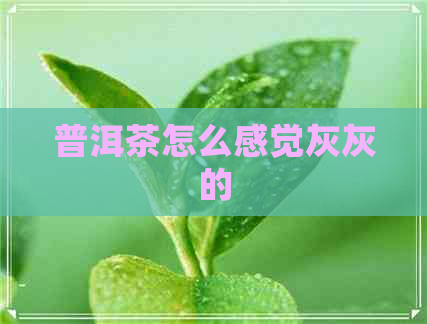 普洱茶怎么感觉灰灰的