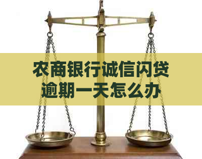 农商银行诚信闪贷逾期一天怎么办