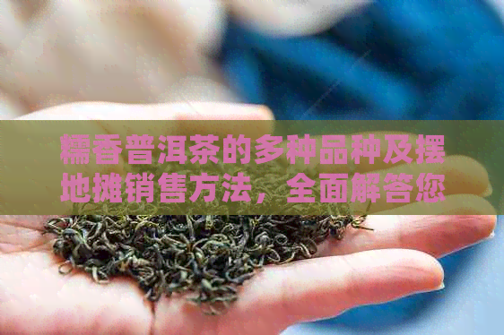 糯香普洱茶的多种品种及摆地摊销售方法，全面解答您的疑问