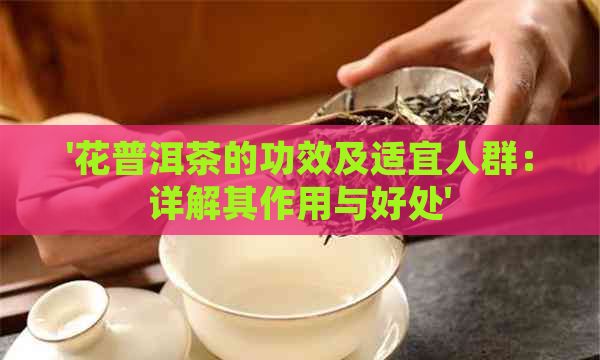 '花普洱茶的功效及适宜人群：详解其作用与好处'