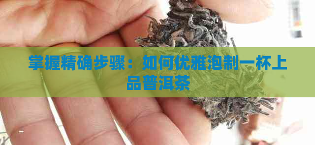 掌握精确步骤：如何优雅泡制一杯上品普洱茶