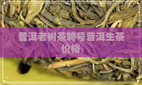 普洱老树茶聘号普洱生茶价格