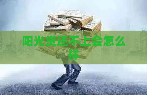 阳光贷还不上会怎么样