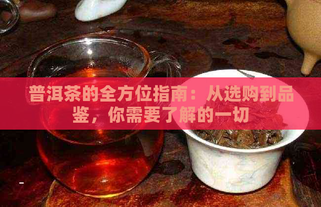 普洱茶的全方位指南：从选购到品鉴，你需要了解的一切