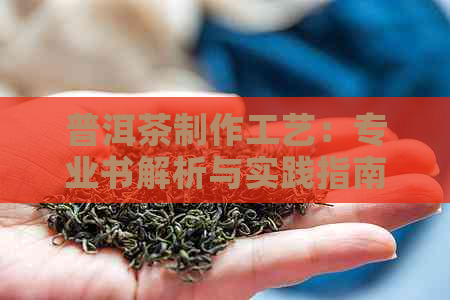 普洱茶制作工艺：专业书解析与实践指南