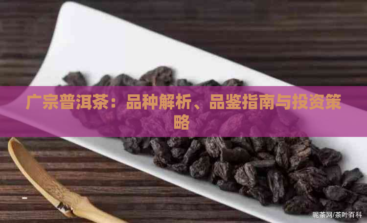 广宗普洱茶：品种解析、品鉴指南与投资策略 