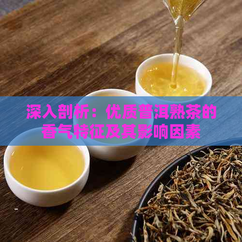 深入剖析：优质普洱熟茶的香气特征及其影响因素