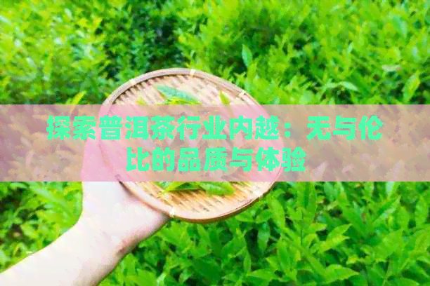 探索普洱茶行业内越：无与伦比的品质与体验