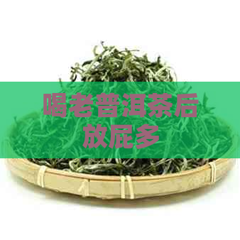 喝老普洱茶后放屁多