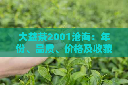 大益茶2001沧海：年份、品质、价格及收藏价值的全面解析与估价指南