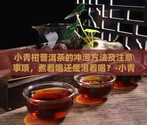 小青柑普洱茶的冲泡方法及注意事项，煮着喝还是泡着喝？-小青柑普洱如何冲泡