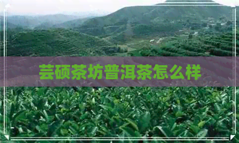 芸硕茶坊普洱茶怎么样