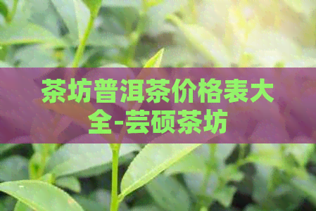 茶坊普洱茶价格表大全-芸硕茶坊