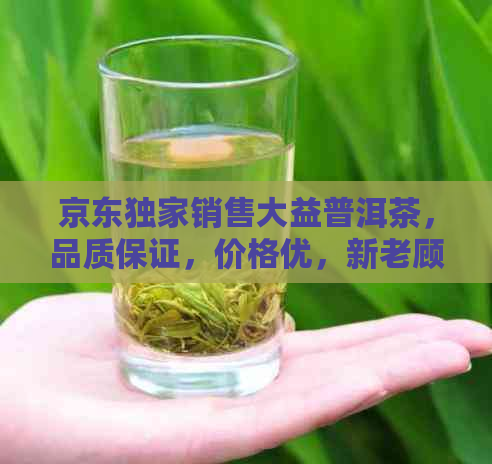 京东独家销售大益普洱茶，品质保证，价格优，新老顾客优先选购！