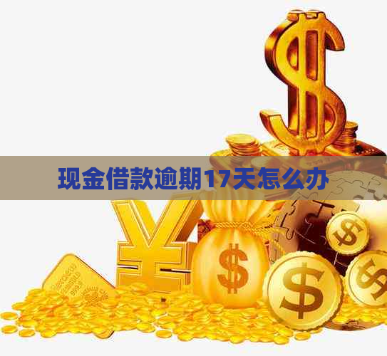 现金借款逾期17天怎么办