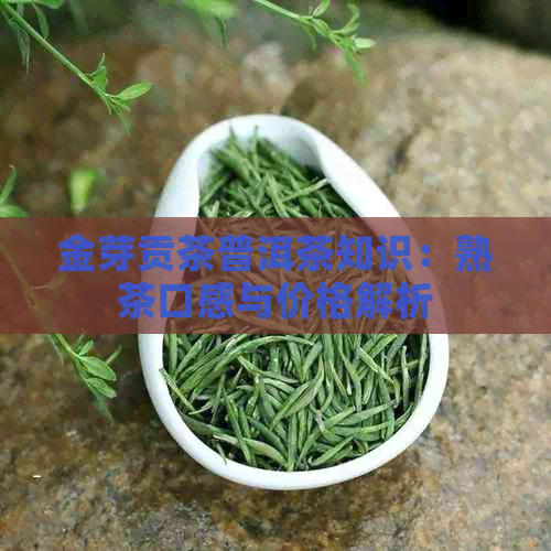 金芽贡茶普洱茶知识：熟茶口感与价格解析