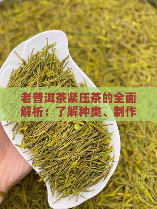 老普洱茶紧压茶的全面解析：了解种类、制作工艺和品饮方法