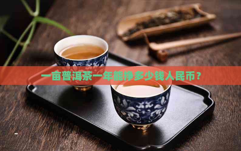 一亩普洱茶一年能挣多少钱人民币？