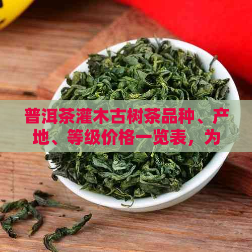 普洱茶灌木古树茶品种、产地、等级价格一览表，为您选购提供全方位参考