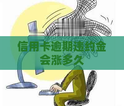 信用卡逾期违约金会涨多久