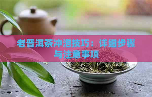 老普洱茶冲泡技巧：详细步骤与注意事项