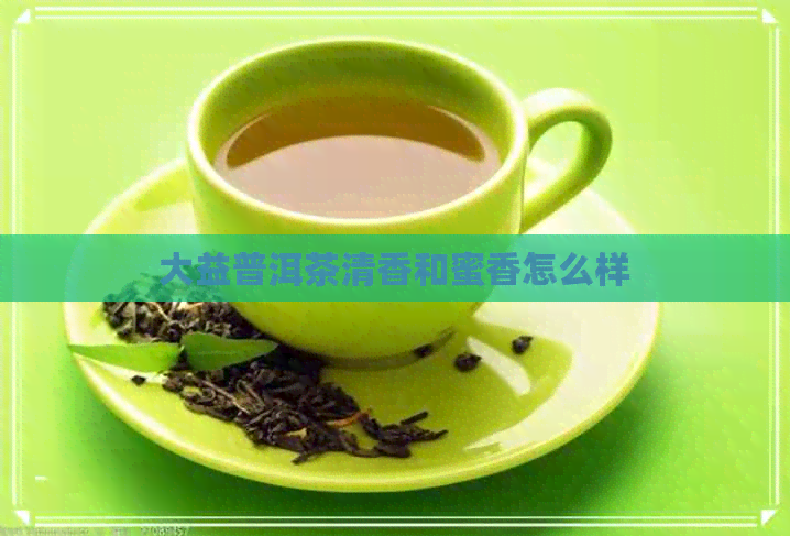 大益普洱茶清香和蜜香怎么样