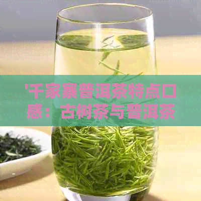 '千家寨普洱茶特点口感：古树茶与普洱茶的区别与融合'